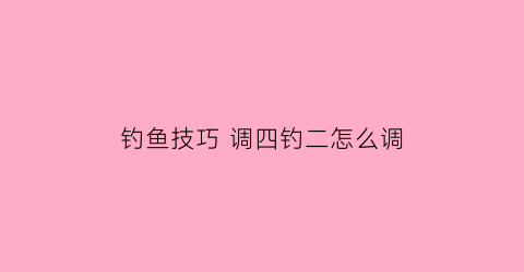 钓鱼技巧调四钓二怎么调(钓鱼调四钓二怎么调法)